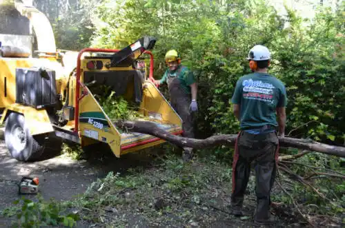 tree services La Selva Beach